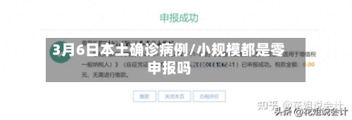 3月6日本土确诊病例/小规模都是零申报吗-第2张图片