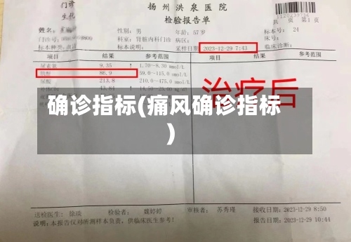 确诊指标(痛风确诊指标)