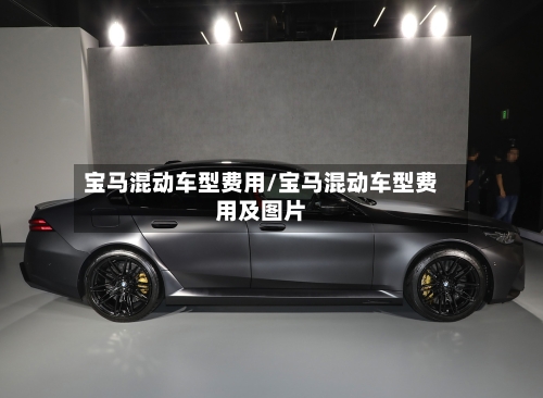 宝马混动车型费用/宝马混动车型费用及图片