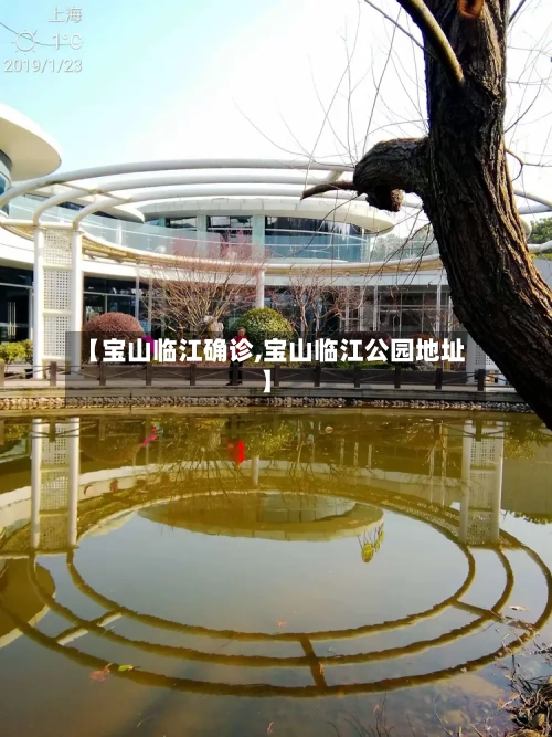 【宝山临江确诊,宝山临江公园地址】-第2张图片