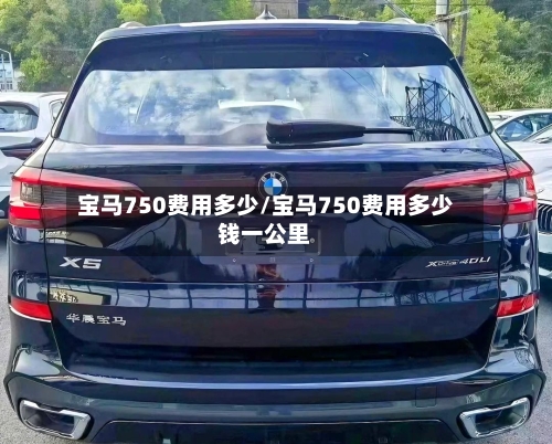 宝马750费用多少/宝马750费用多少钱一公里-第2张图片