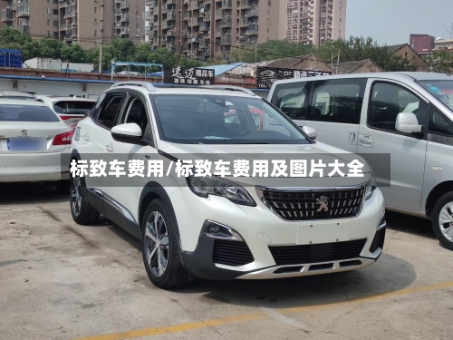标致车费用/标致车费用及图片大全-第2张图片