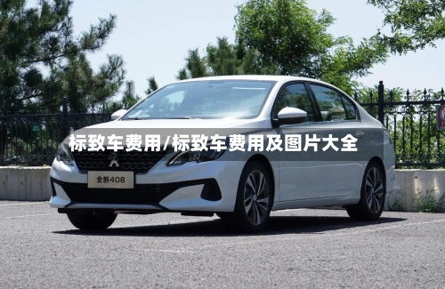 标致车费用/标致车费用及图片大全-第3张图片