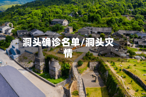 洞头确诊名单/洞头灾情