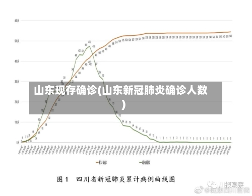 山东现存确诊(山东新冠肺炎确诊人数)-第3张图片