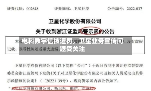 电科数字信披遭罚，卫星业务宣传问题受关注-第2张图片