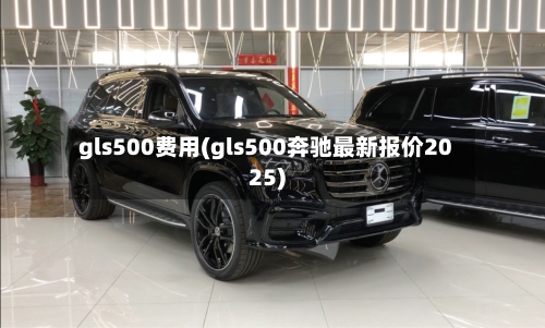 gls500费用(gls500奔驰最新报价2025)-第2张图片