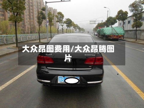 大众昂图费用/大众昂腾图片-第2张图片