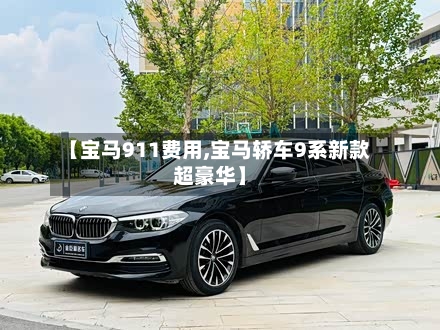 【宝马911费用,宝马轿车9系新款超豪华】