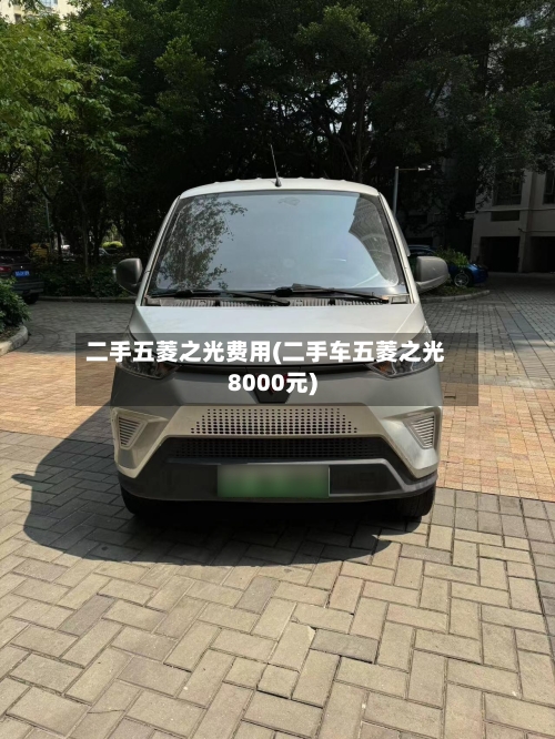 二手五菱之光费用(二手车五菱之光8000元)
