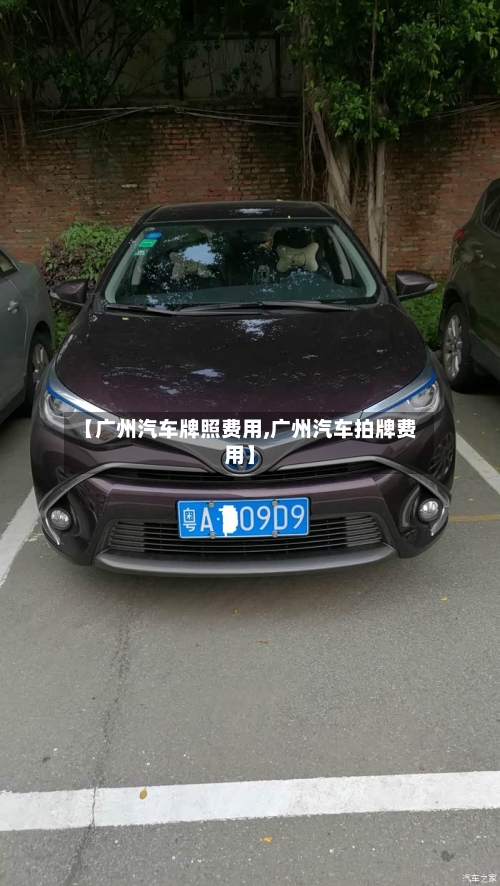 【广州汽车牌照费用,广州汽车拍牌费用】-第2张图片