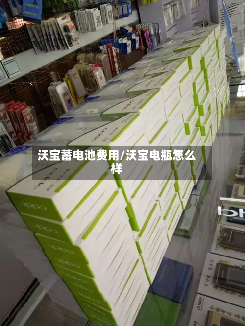 沃宝蓄电池费用/沃宝电瓶怎么样-第2张图片