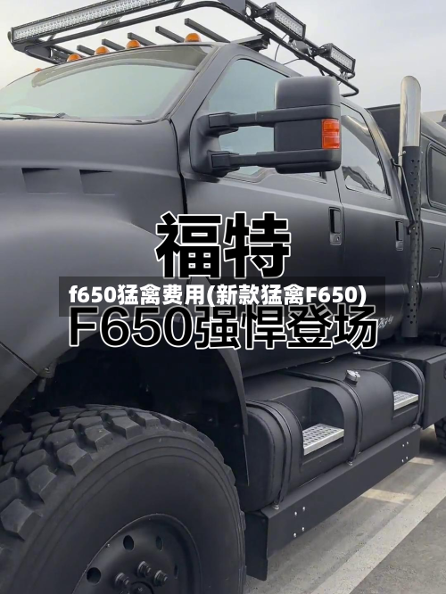 f650猛禽费用(新款猛禽F650)-第2张图片