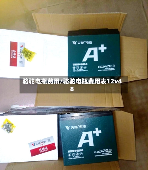 骆驼电瓶费用/骆驼电瓶费用表12v48