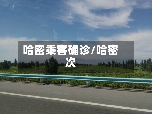哈密乘客确诊/哈密次