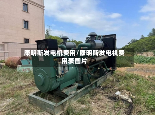 康明斯发电机费用/康明斯发电机费用表图片