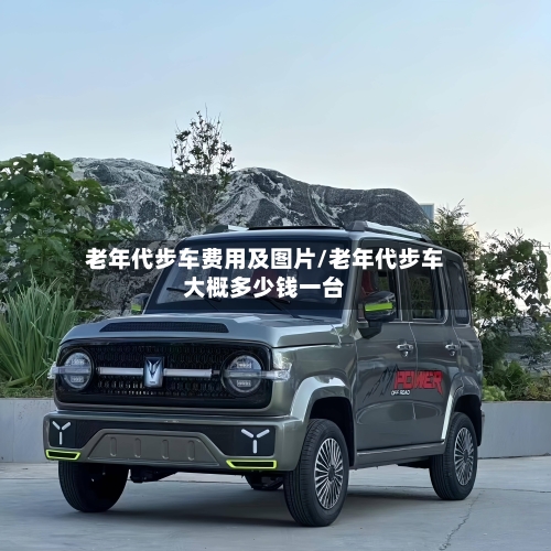 老年代步车费用及图片/老年代步车大概多少钱一台