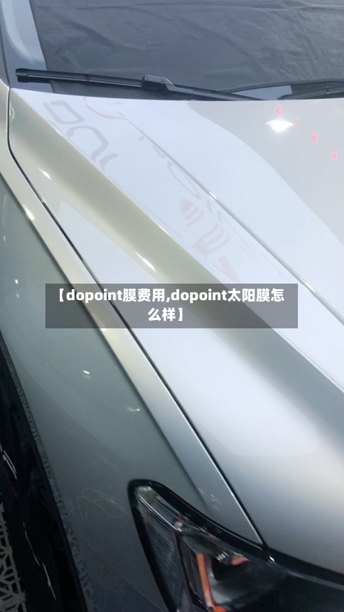 【dopoint膜费用,dopoint太阳膜怎么样】-第2张图片
