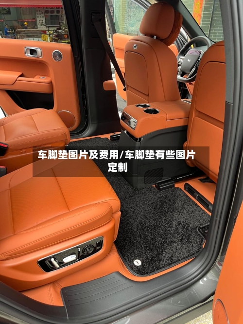 车脚垫图片及费用/车脚垫有些图片 定制-第3张图片