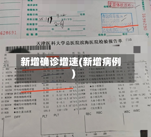 新增确诊增速(新增病例)