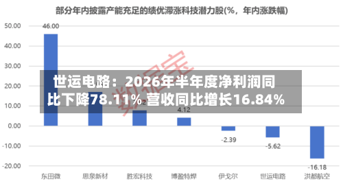 世运电路:2026年半年度净利润同比下降78.11% 营收同比增长16.84%-第2张图片