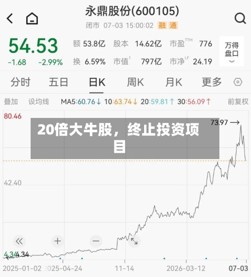 20倍大牛股，终止投资项目-第1张图片