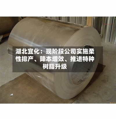 湖北宜化：现阶段公司实施柔性排产、降本增效	、推进特种树脂升级-第1张图片