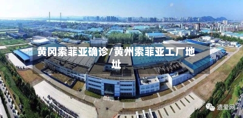 黄冈索菲亚确诊/黄州索菲亚工厂地址