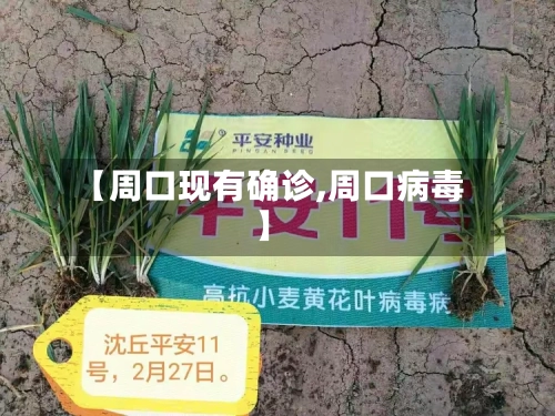【周口现有确诊,周口病毒】