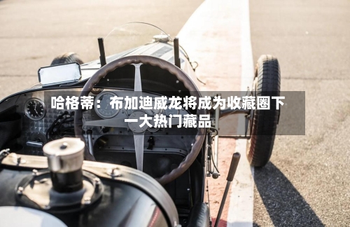 哈格蒂：布加迪威龙将成为收藏圈下一大热门藏品-第2张图片