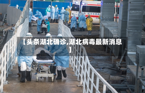 【头条湖北确诊,湖北病毒最新消息】