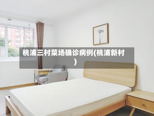桃浦三村菜场确诊病例(桃浦新村)-第2张图片
