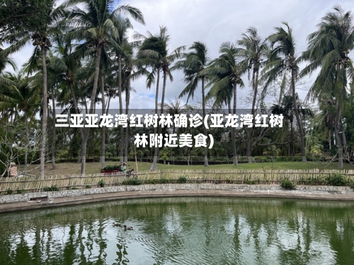 三亚亚龙湾红树林确诊(亚龙湾红树林附近美食)-第3张图片