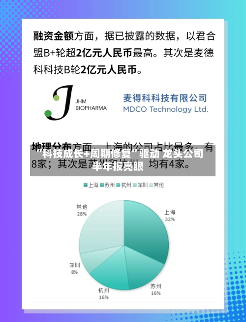 “科技成长+周期修复”驱动 龙头公司半年报亮眼-第2张图片