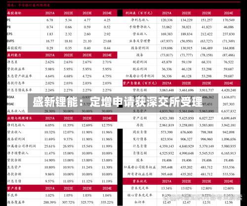 盛新锂能:定增申请获深交所受理-第2张图片