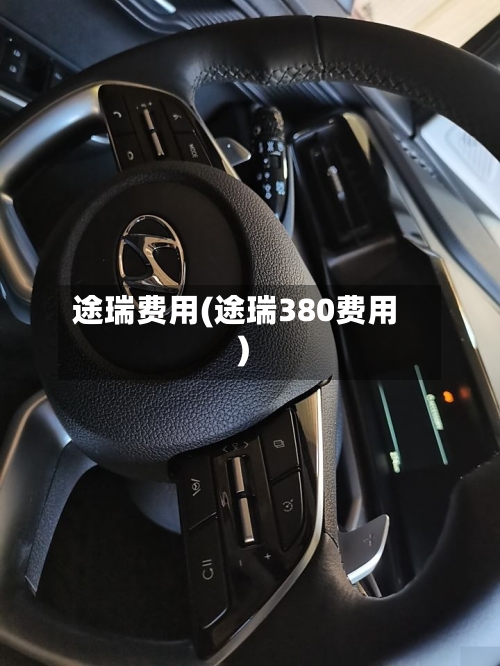 途瑞费用(途瑞380费用)-第2张图片