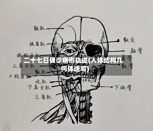 二十七日确诊病例轨迹(人体结构几何体速写)