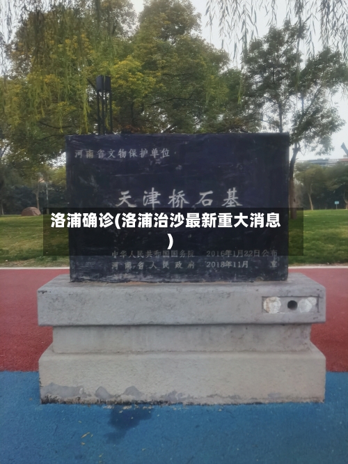 洛浦确诊(洛浦治沙最新重大消息)