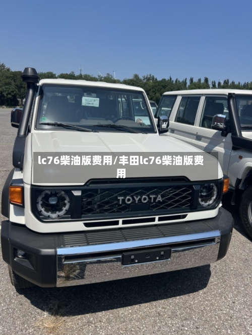 lc76柴油版费用/丰田lc76柴油版费用