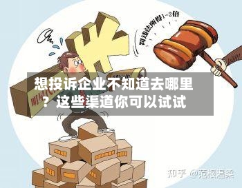 想投诉企业不知道去哪里？这些渠道你可以试试-第2张图片
