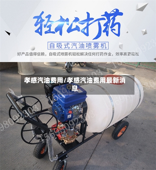 孝感汽油费用/孝感汽油费用最新消息