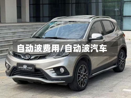 自动波费用/自动波汽车-第2张图片
