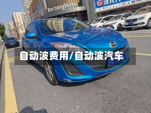 自动波费用/自动波汽车