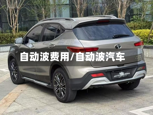 自动波费用/自动波汽车-第3张图片
