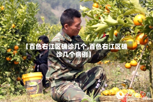 【百色右江区确诊几个,百色右江区确诊几个病例】-第3张图片