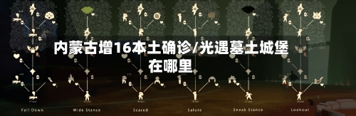 内蒙古增16本土确诊/光遇墓土城堡在哪里-第2张图片