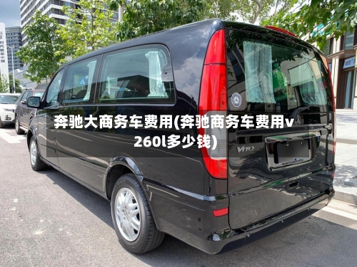 奔驰大商务车费用(奔驰商务车费用v260l多少钱)-第3张图片