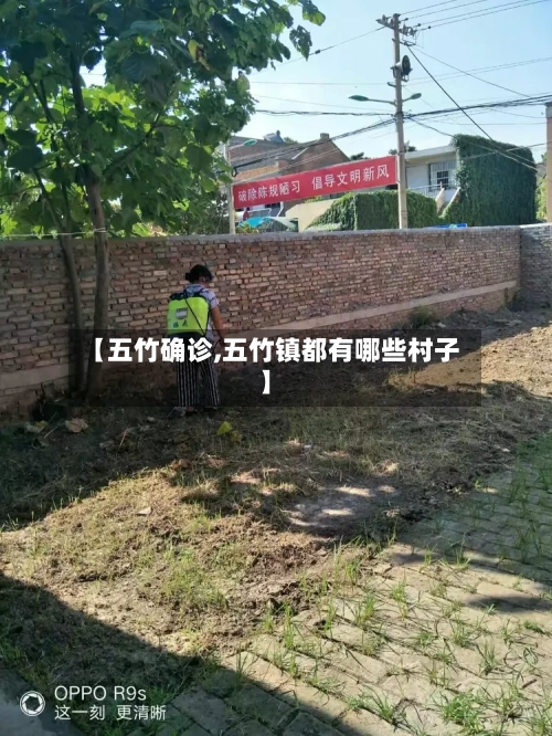 【五竹确诊,五竹镇都有哪些村子】