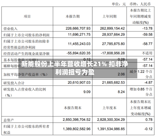 新能股份上半年营收增长21% 扣非净利润扭亏为盈-第2张图片