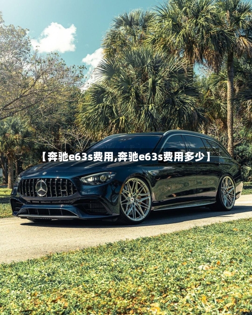 【奔驰e63s费用,奔驰e63s费用多少】-第2张图片
